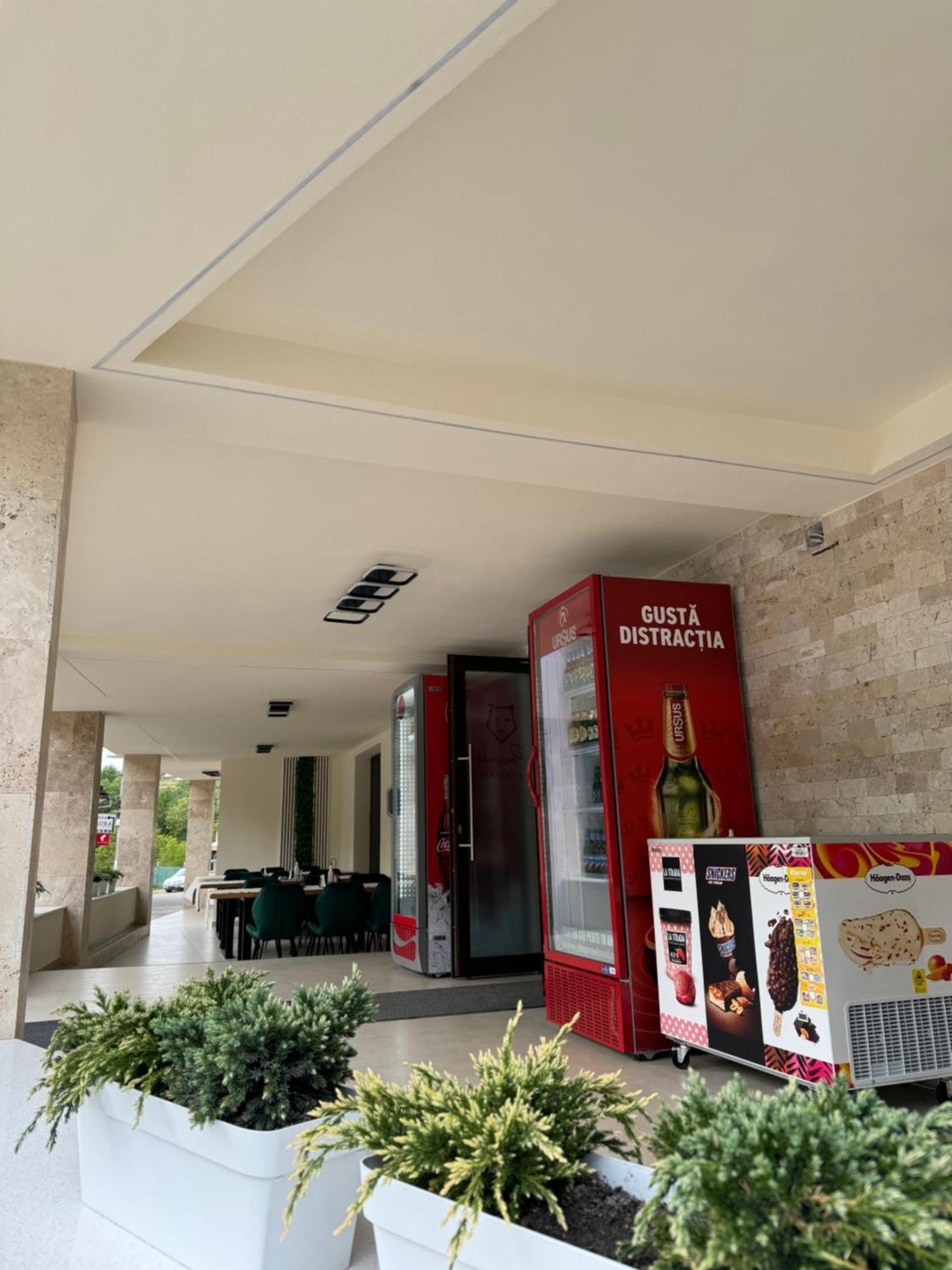 Conacul Pestera Ursilor Chiscau Exterior foto
